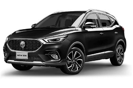 MG_ZS_category MG_ZS_category